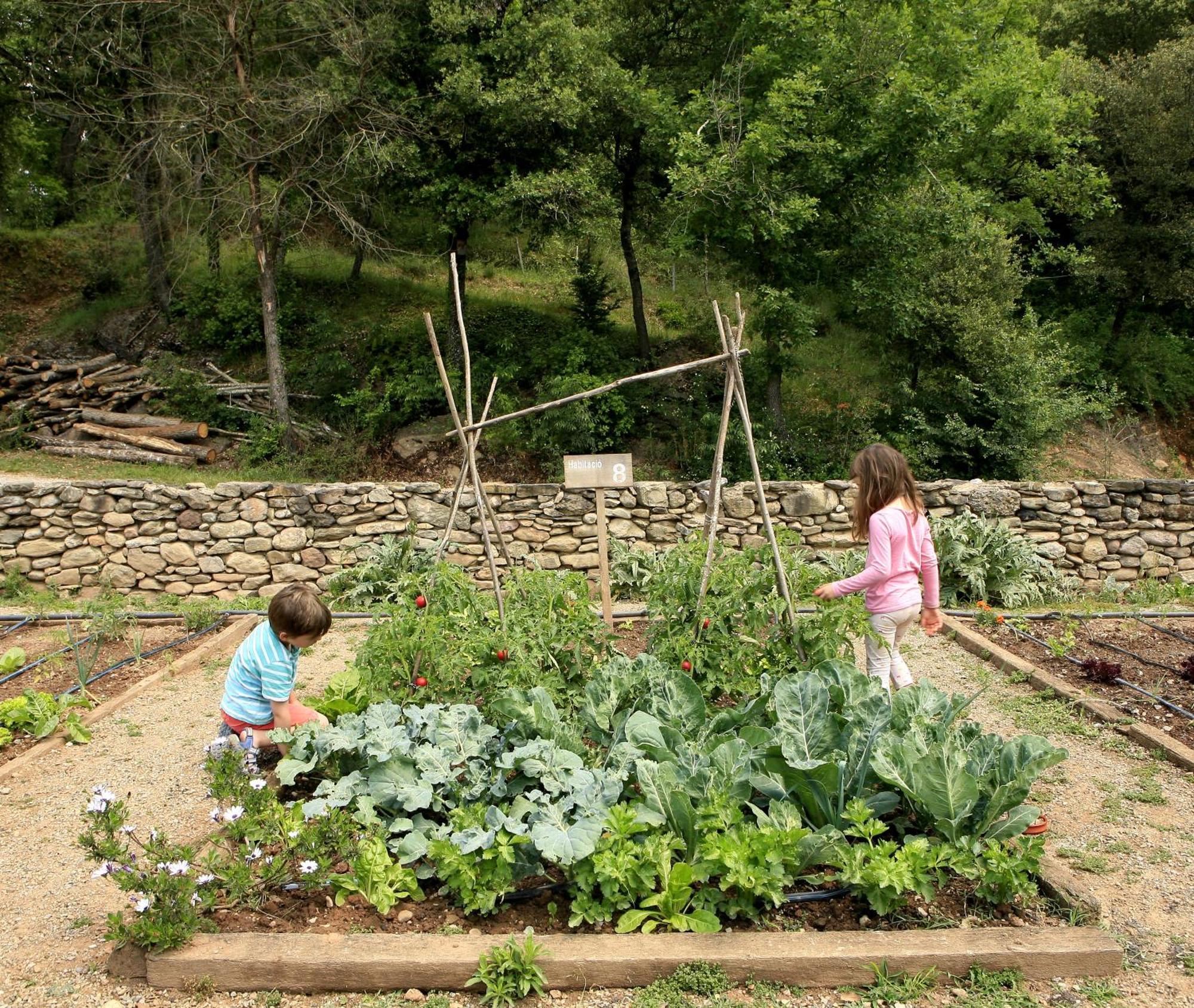 Casa Rural Mas Garganta La Pinya Dış mekan fotoğraf