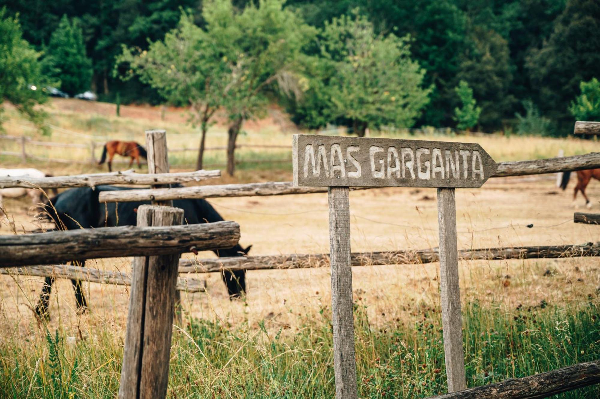 Casa Rural Mas Garganta La Pinya Dış mekan fotoğraf